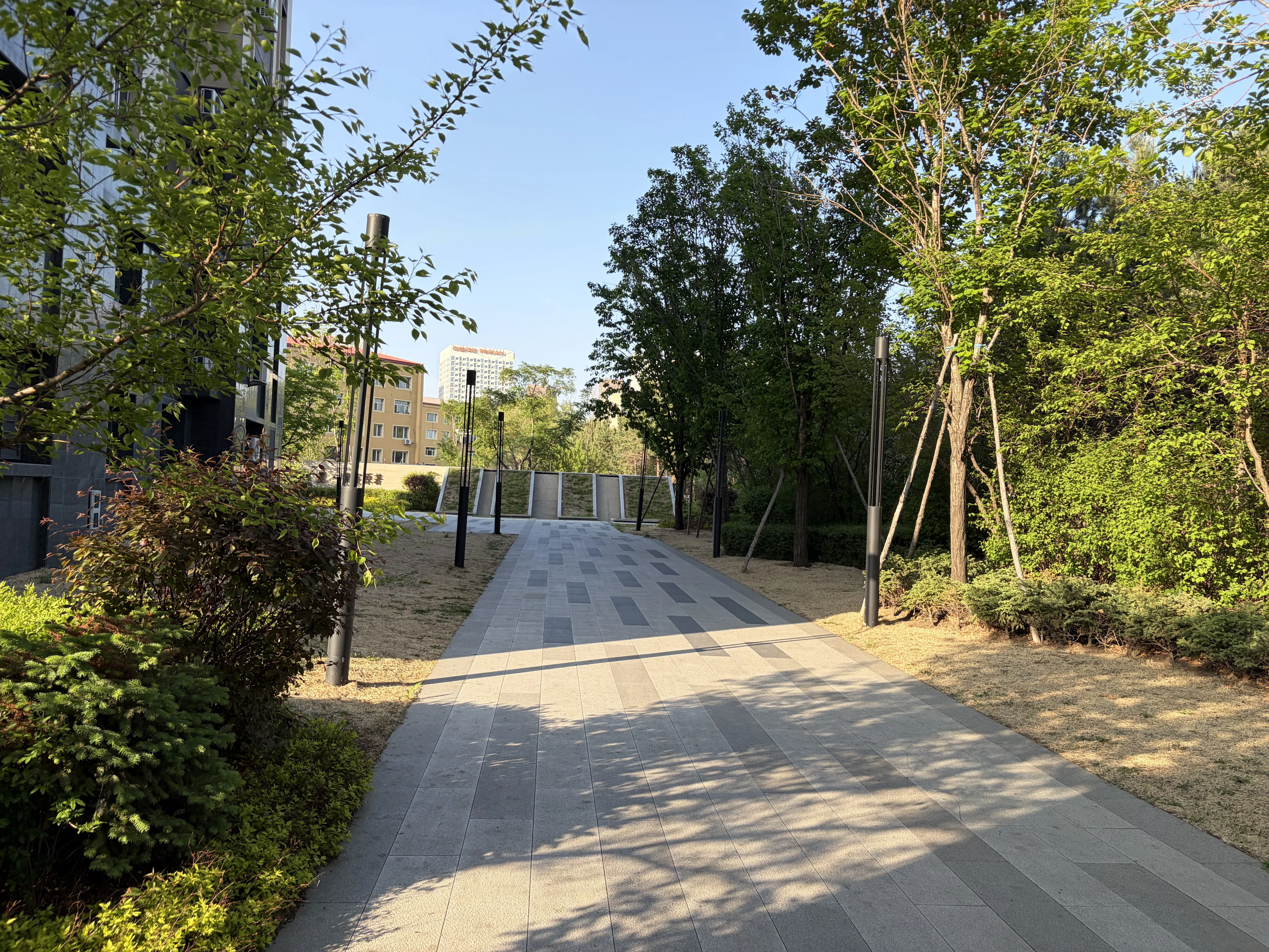 紫宸-5.webp