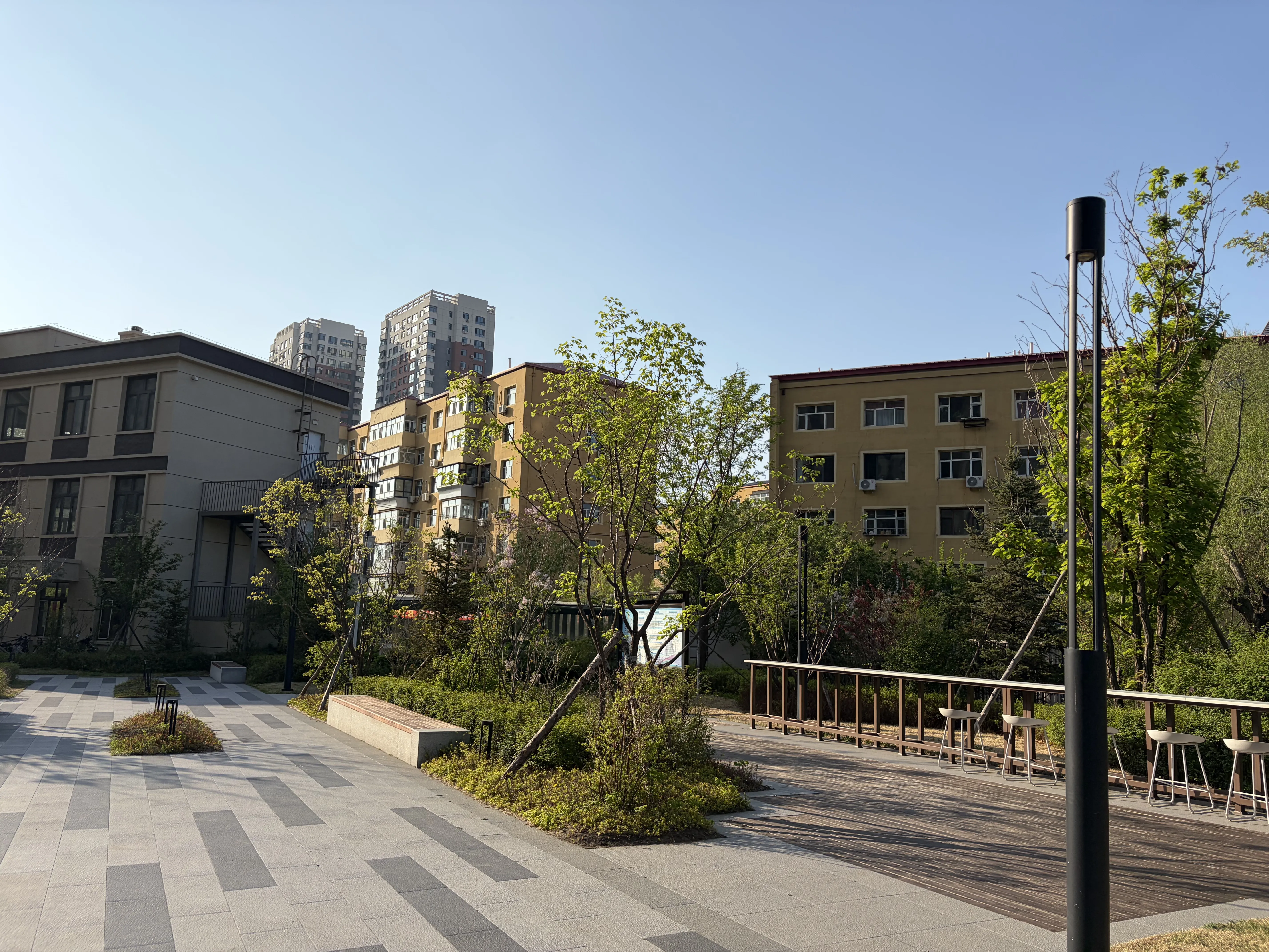 紫宸-6.webp